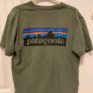 Patagonia tee